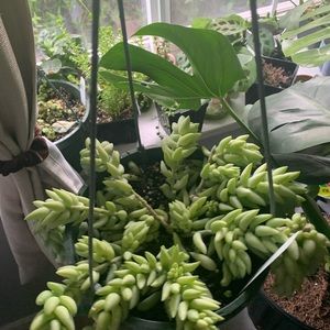 Meet your Posher, Cindy’s